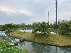 -乌村