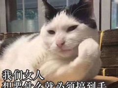 -鲜芋仙(观音桥大融城LG店)