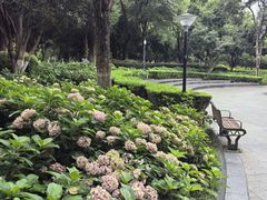 -常州古运河南大街文化旅游区-人民公园
