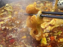 石锅江团-秦巴石锅鱼(文化南路店)