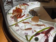 -壳里西餐厅Coquille Seafood Bistro(蒙自路店)