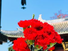 -光孝寺