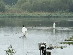 -溱湖国家湿地公园