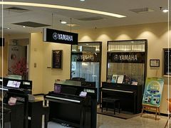 -知音艺术教育培训·钢琴培训·音乐培训(河西金鹰世界校区)