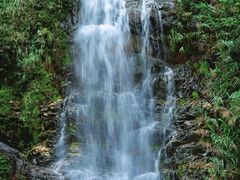 -鼎湖山风景区