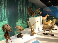 -中国湿地博物馆