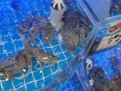 -南戴河海滨市场
