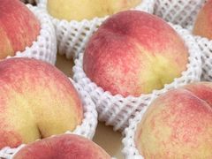 -老袁家蜜桃农场·阳山水蜜桃