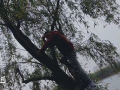 -天鹅湖体育公园