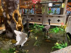 -东海章鱼馆(恒瑞街店)