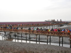 -红海滩国家风景廊道