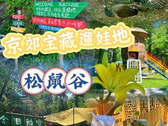 -欢乐松鼠谷