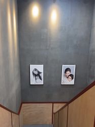 点击看大图 -大树儿童摄影