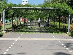 -东平国家森林公园