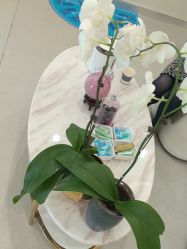 -海涛医疗美容·面部抗衰·注射美鼻