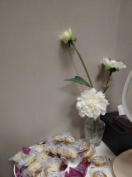 -上海玫瑰医疗美容医院