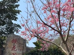 -狐尾山公园