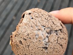 巧克力核桃麻薯球-啊噗吐呦现场烘焙(麦凯乐店)