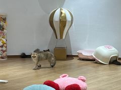 -1013 PET SHOP精品宠物商店(丁香店)