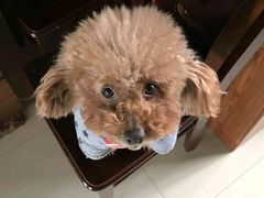 -骐奇宠物诊疗中心(南亭公路店)