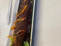 -京城·森鸽排档(双井店)