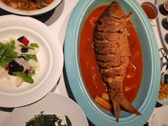 -阿五黄河大鲤鱼(英协路店)