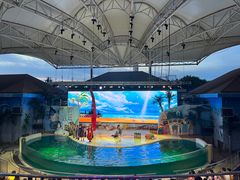 -三亚海昌梦幻海洋不夜城