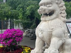 -团结湖公园