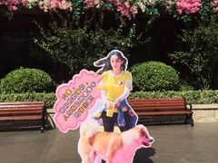 -郑州方特梦幻王国