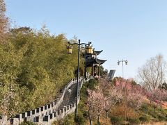 -渌洋湖湿地公园