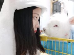 -猫色咖啡·猫咖