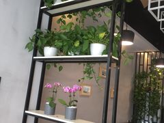 -宝小庆邵阳米粉(深圳市南山保利店)