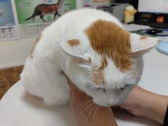 -美联众合24小时·皮肤科·外科·全科诊疗中心(华苑分院)