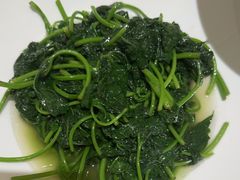 -春天来了(印象新天地店)