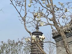 -西海子公园