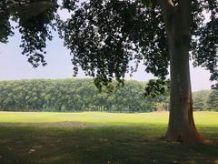 -河南省黄河迎宾馆