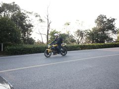 -铁山坪森林公园