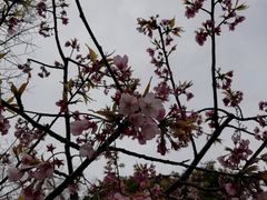 -静安雕塑公园