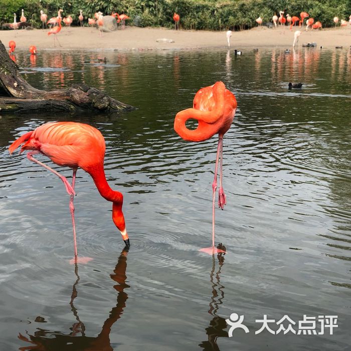 哈根贝克动物园