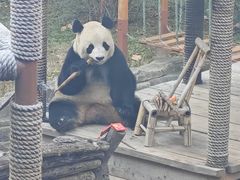 -大连森林动物园