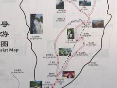 -王顺山国家森林公园