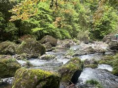 -龙苍沟森林公园