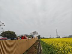 -桤木河湿地公园