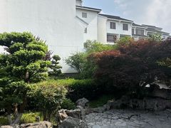 -苏州吴宫泛太平洋酒店