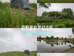-嘉北郊野公园