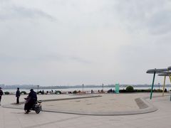 -丁香湖公园