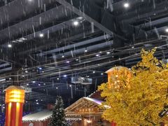 -宁波冰雪大世界(北仑区)