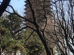 -玲珑塔公园