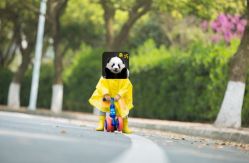 -RosyBaby萝西儿童摄影(园区店)