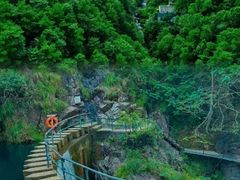 -大奇山国家森林公园